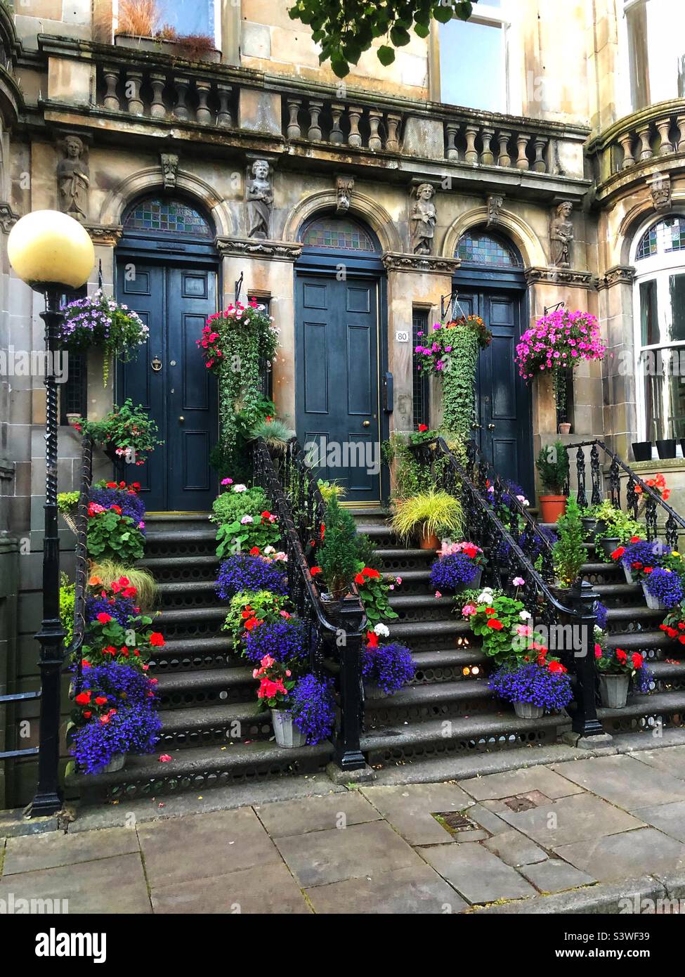 Colourful flowers placed in pots on steps of houses in Queens Park area