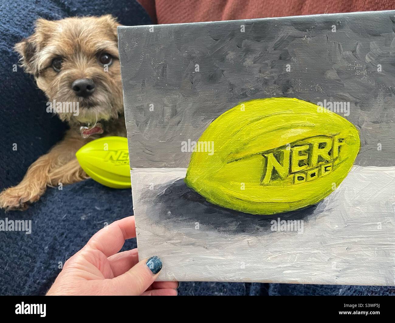 A still life painting of a nerf ball. Stock Photo