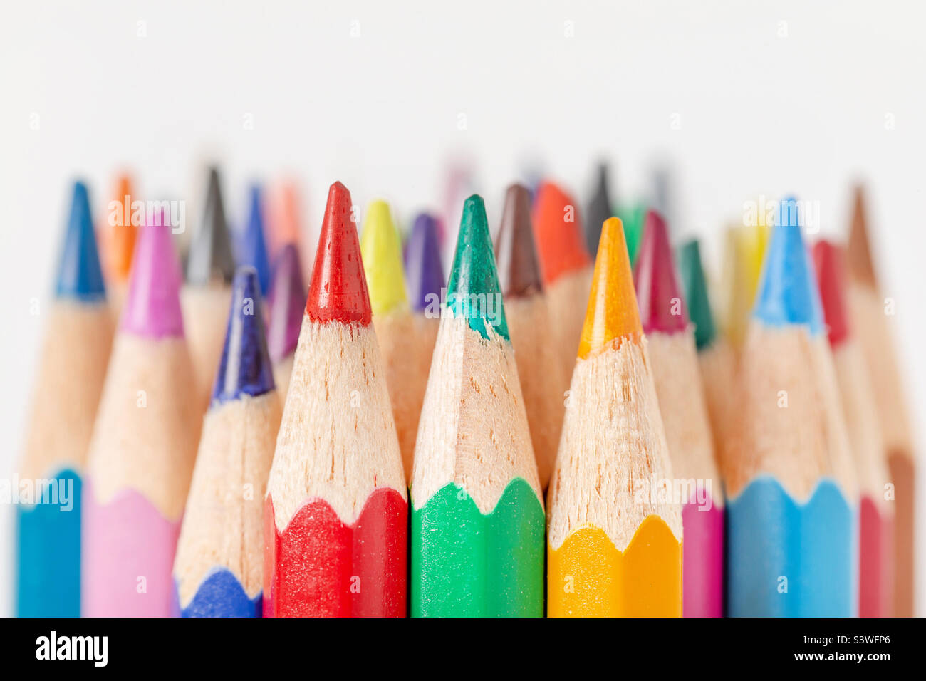 Sharpened colorful pencils closeup macro, ready for school Stock Photo