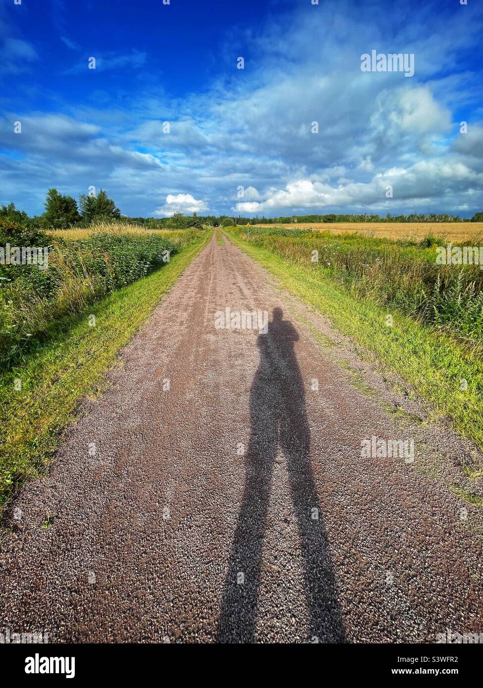 Long shadow over a rural trail. - Smartphone Captured Stock Image