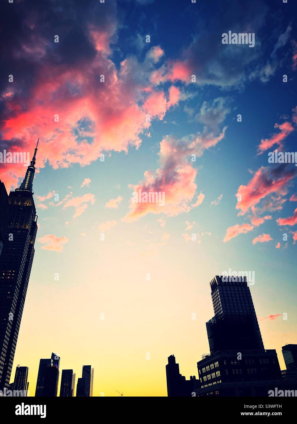 MANHATTAN SKYLINE 2022 visual data 4
