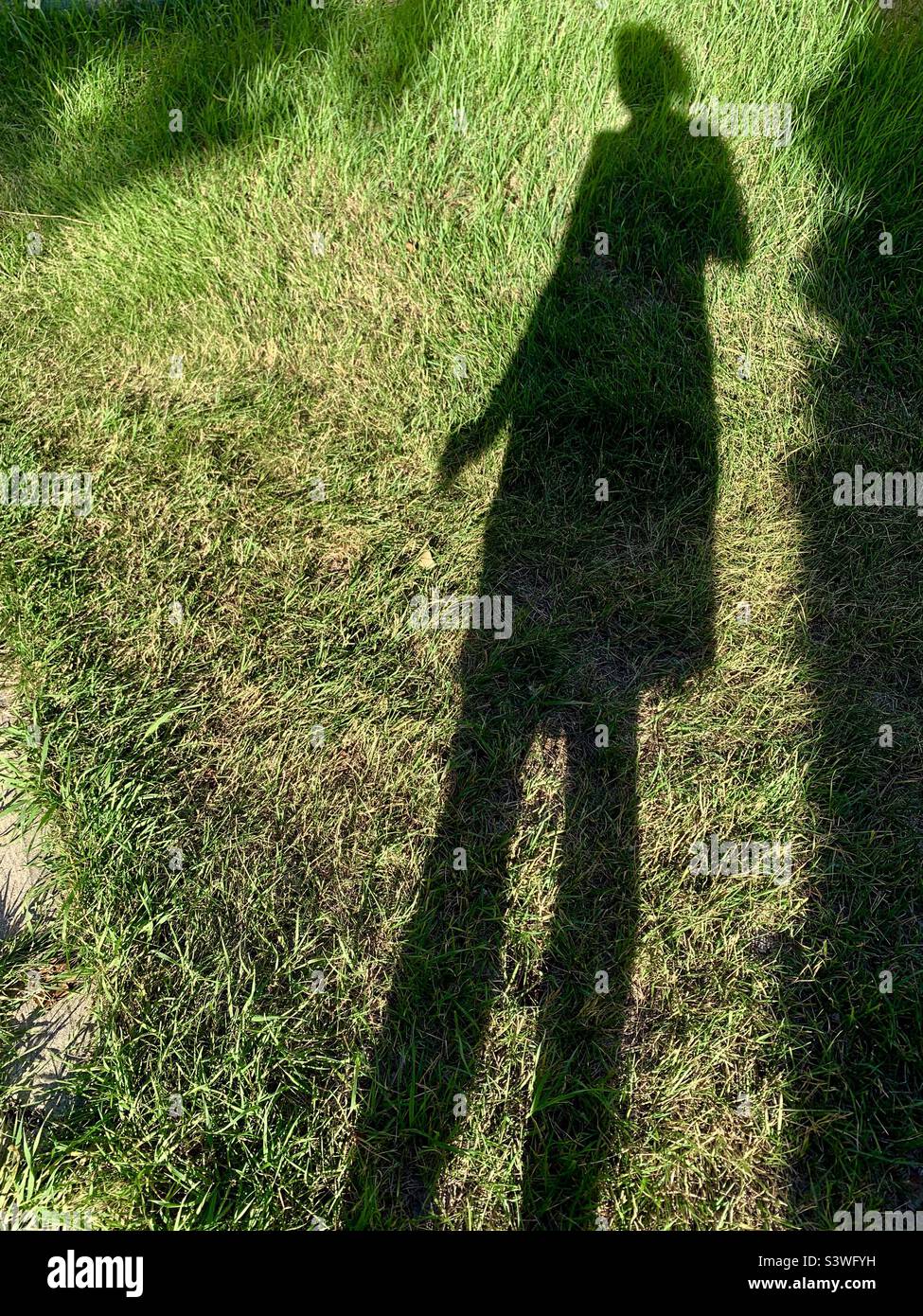 Long shadow of a person in late afternoon Stock Photo - Alamy