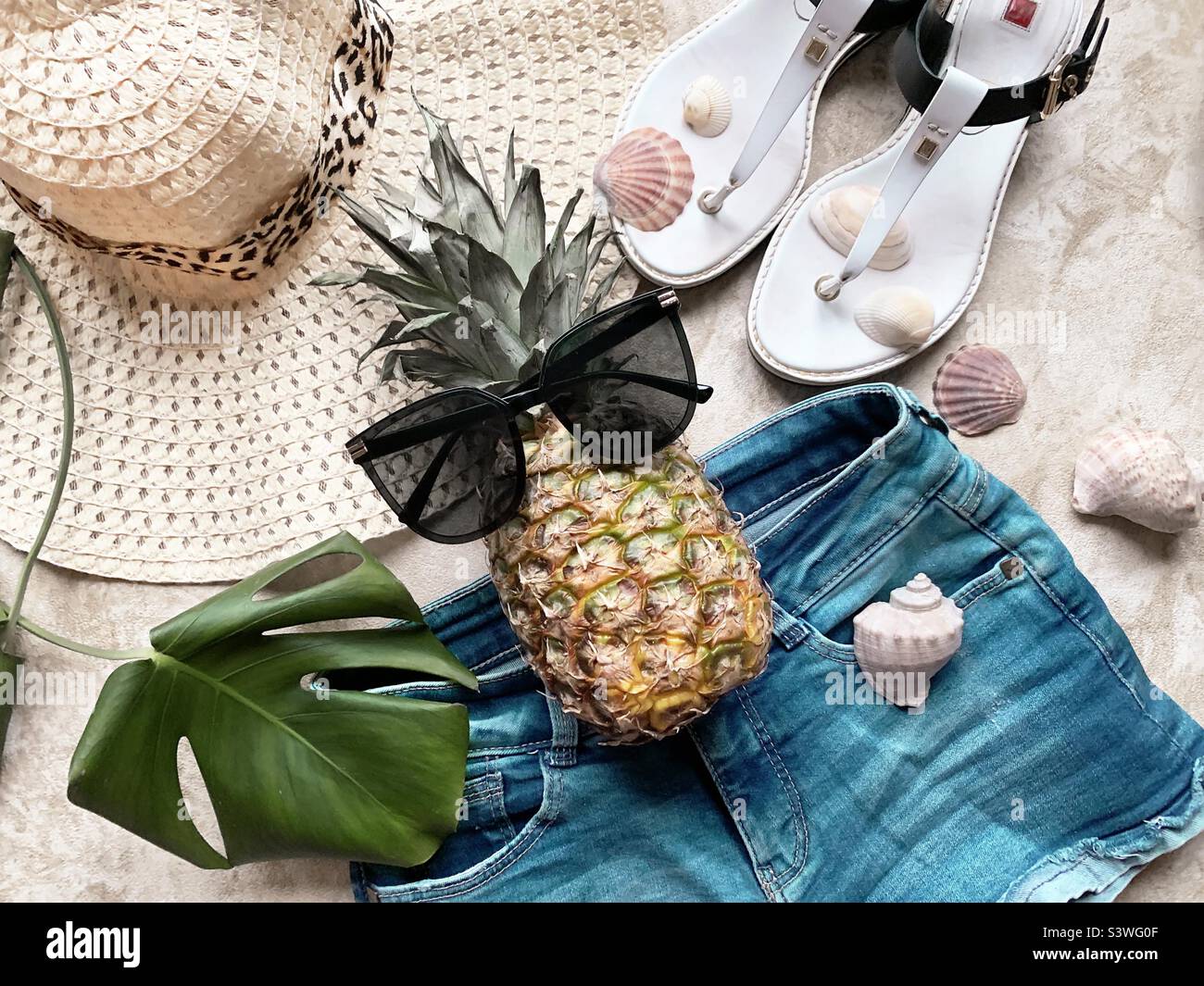 Summer stylish clothes for tropical vacation Stock Photo Alamy
