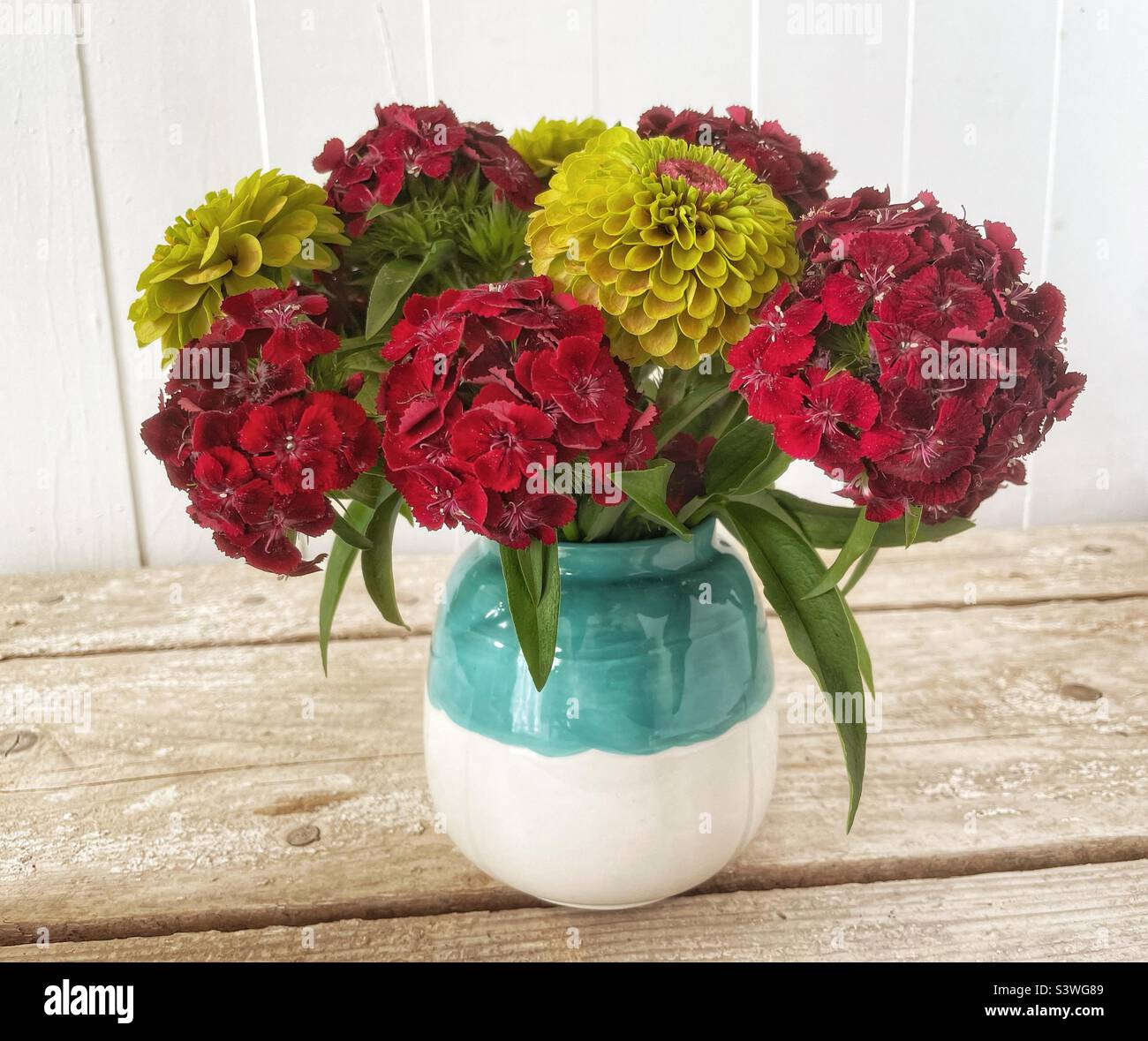 Dark cranberry red sweet William and a green zinnia in a pretty pottery vase. - Smartphone Captured Stock Image