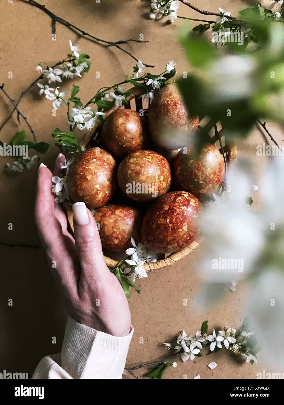 Handmade Easter eggs decorated by spring flowers Stock Photo