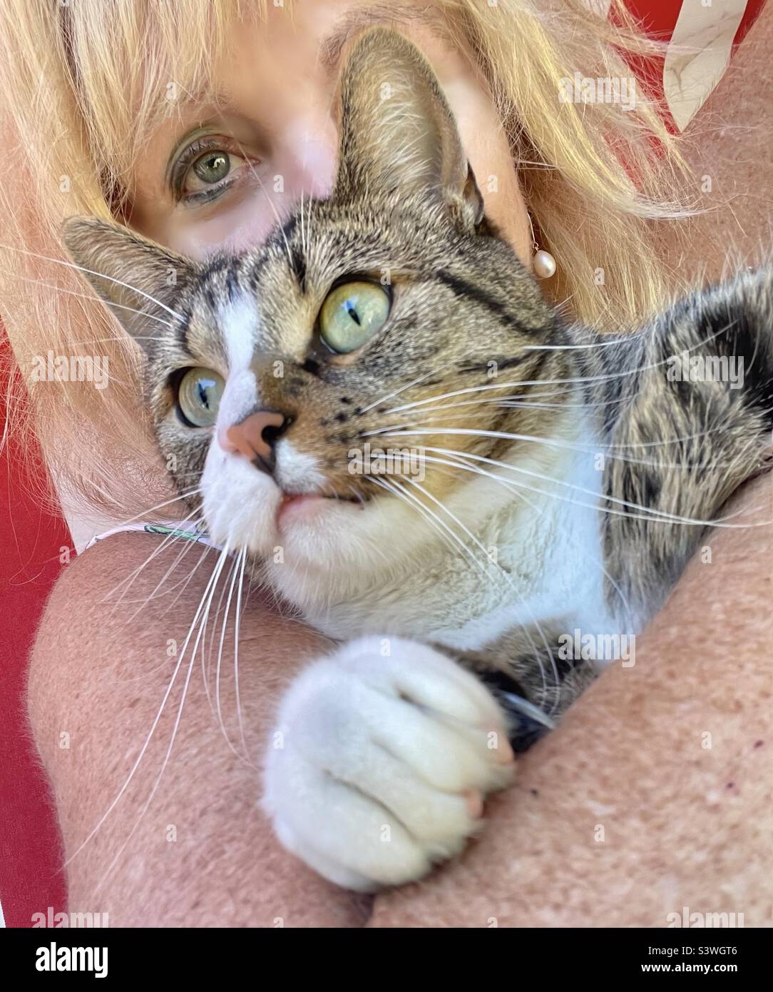 Petowner - Smartphone Captured Stock Image