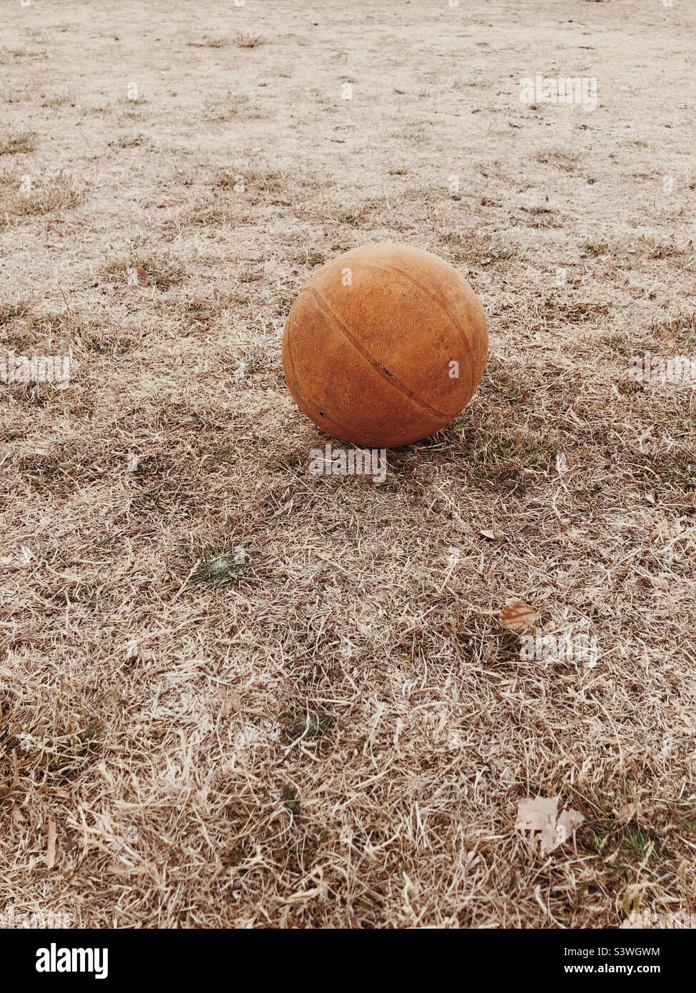 Basketball on parched grass Stock Photo
