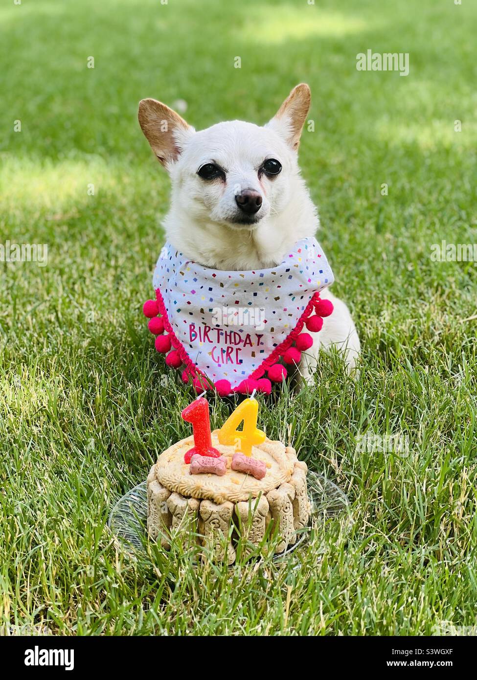 Happy 14th Birthday sweet Sandi. Stock Photo