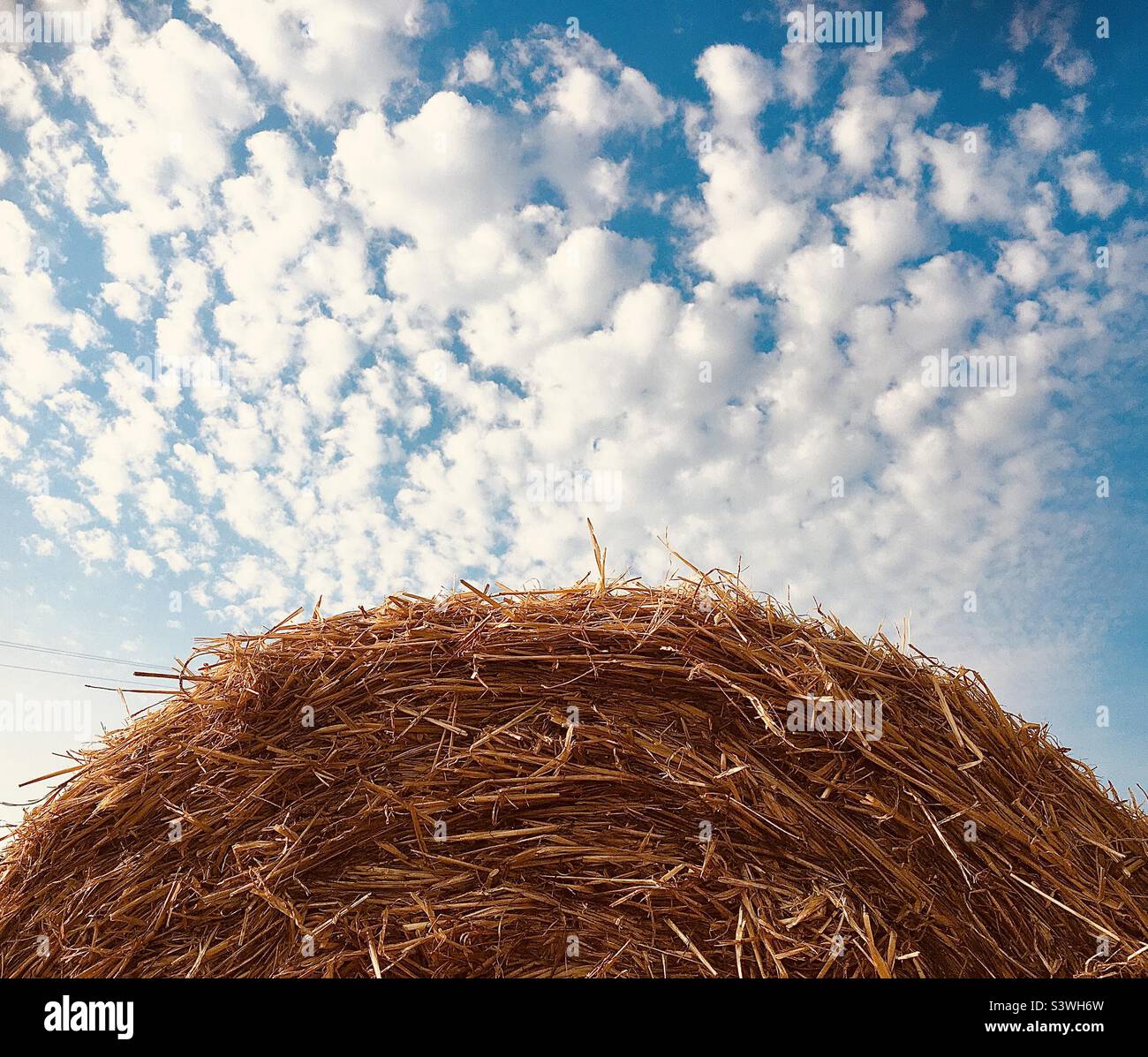 Straw, hay, harvesting, sky, blue sky, clouds, straw bale, round straw bale , summer, harvest, farming - Smartphone Captured Stock Image