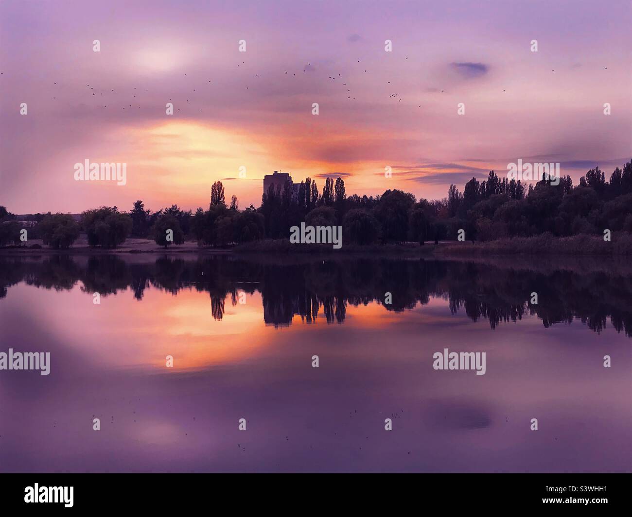 Beautiful purple sunset over the lake Stock Photo - Alamy