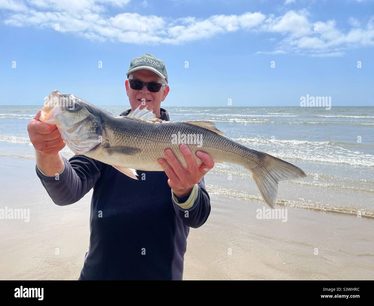 Angler holding a freshly caught Bass of about 5lbs from the Welsh coast in May. Stock Photo