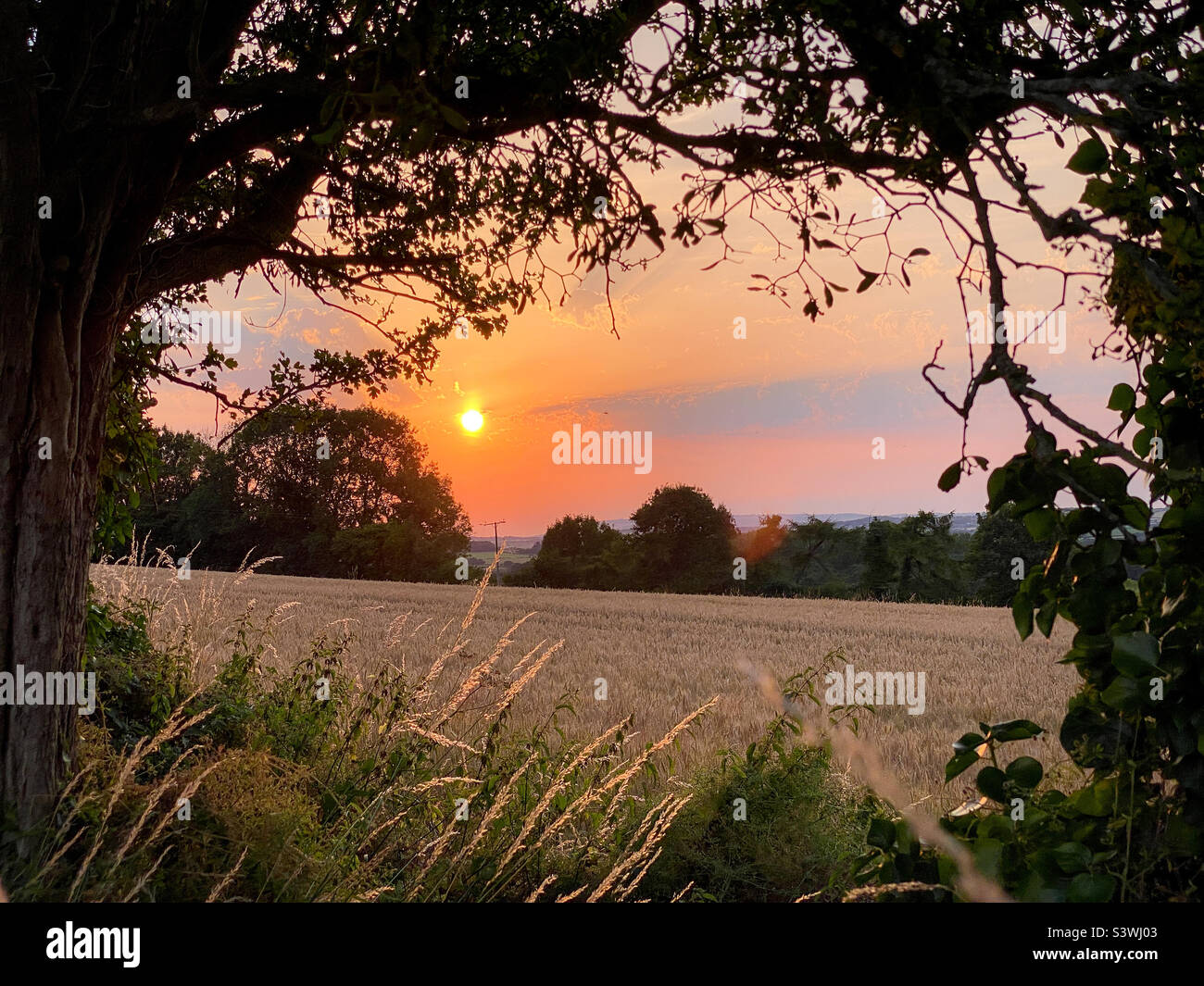 Rural sunset - Smartphone Captured Stock Image