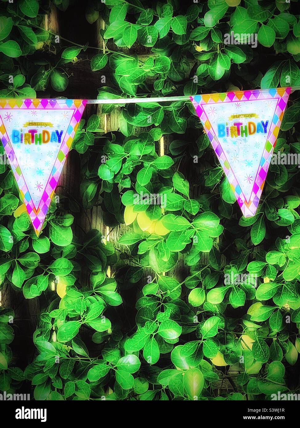 Happy Birthday bunting hangs in front of green foliage in a backyard in Utah, USA. Grunge, color and glow/light effects via the IOS app Snapseed. - Smartphone Captured Stock Image