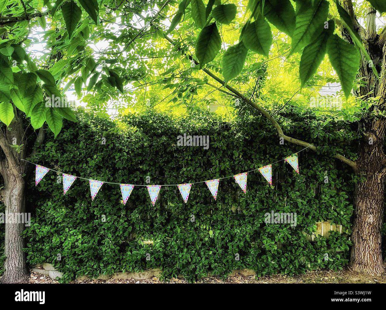 Happy Birthday bunting hangs between trees and in front of green foliage in a backyard in Utah, USA. Grunge, color and glow/light effects via the IOS app Snapseed. - Smartphone Captured Stock Image