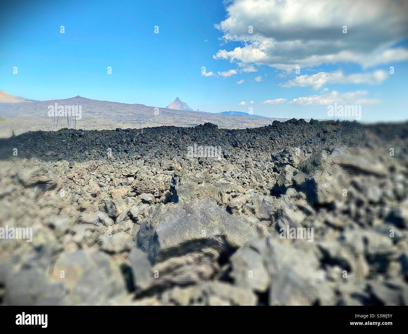 Lava rock from lava flow at the summit of Mckenzie Pass in Oregon. Stock Photo