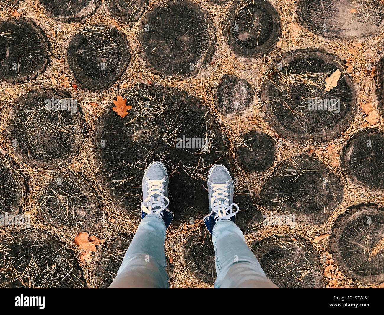 Standing on wooden circles with autumn leaves - Smartphone Captured Stock Image