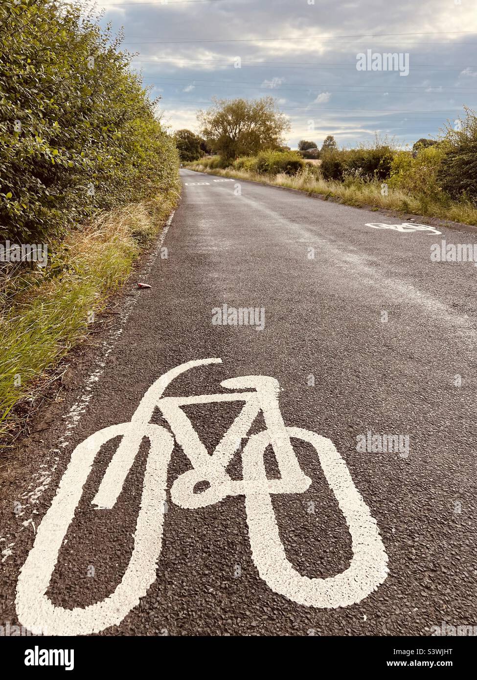 Cycle lane road markings Stock Photo Alamy