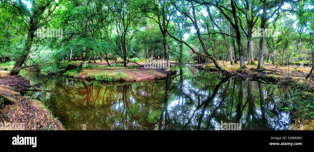 Ober Water stream in Summertime, New Forest National Park United Kingdom - Smartphone Captured Stock Image