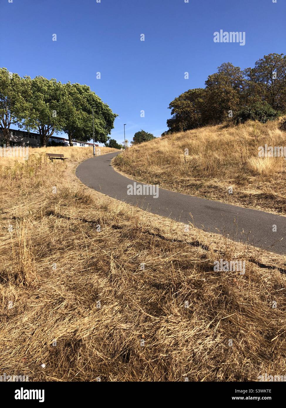 Parched grass on a small hill  in London UK during the heatwave in August 2022 Stock Photo