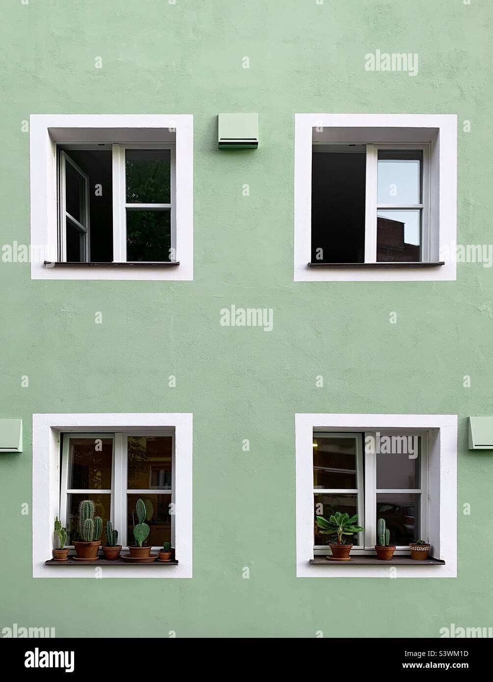Green house with cactus flowers - Smartphone Captured Stock Image