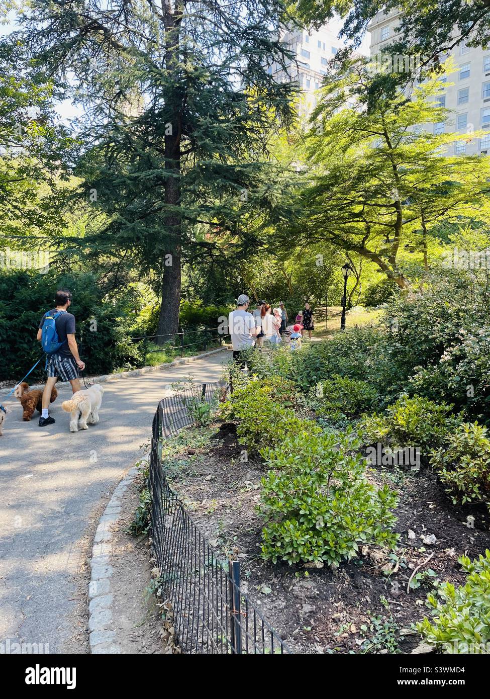 are dogs allowed in central park nyc