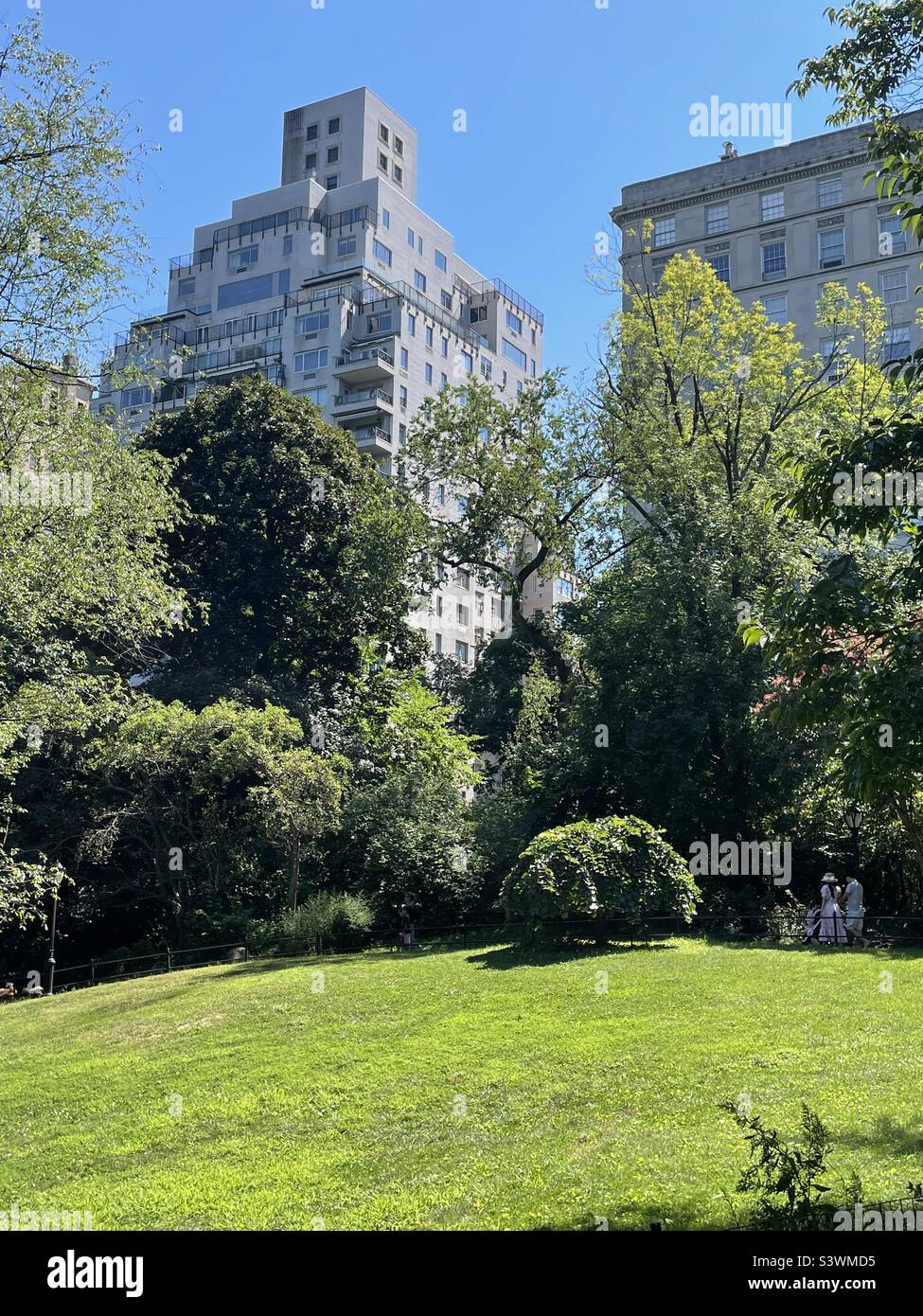 5th Ave., Skyscrapers as viewed from Central Park in New York City, USA - Smartphone Captured Stock Image