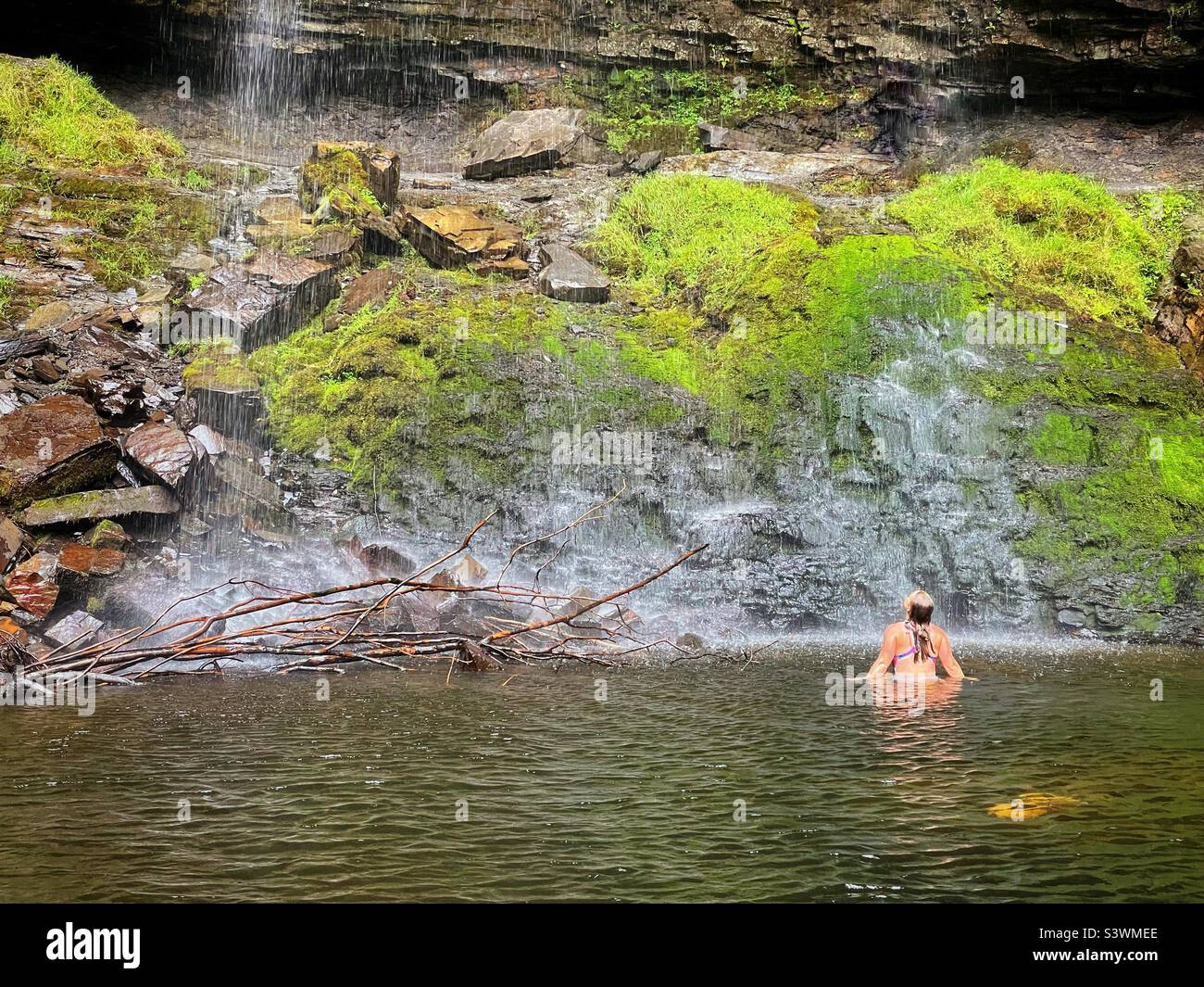 Young woman wild swimming under Henrhyd waterfall, Brecon Beacons, Wales, August. Stock Photo