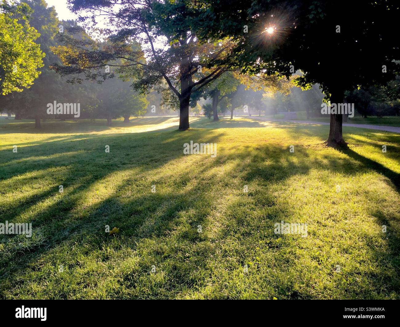 Blissful early morning in a lovely park, Ontario, Canada. Play of light and shade. Perfect spot for inspired contemplation, meditation, or shin-rin yoku. No people or animals yet. - Smartphone Captured Stock Image