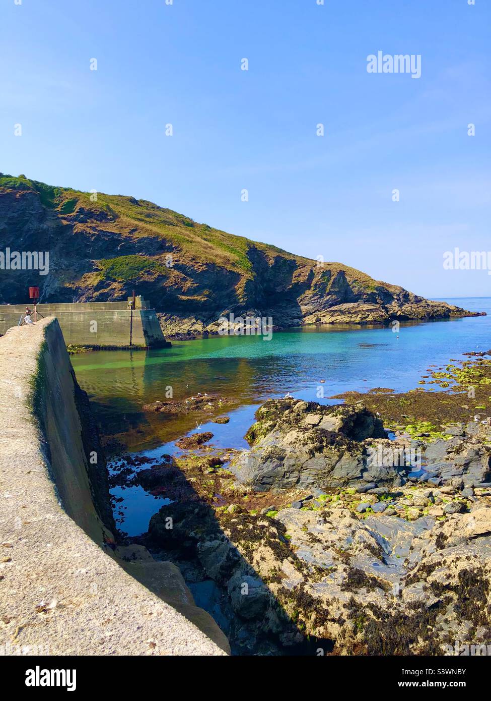 Port Isaac harbour Cornwall Stock Photo Alamy