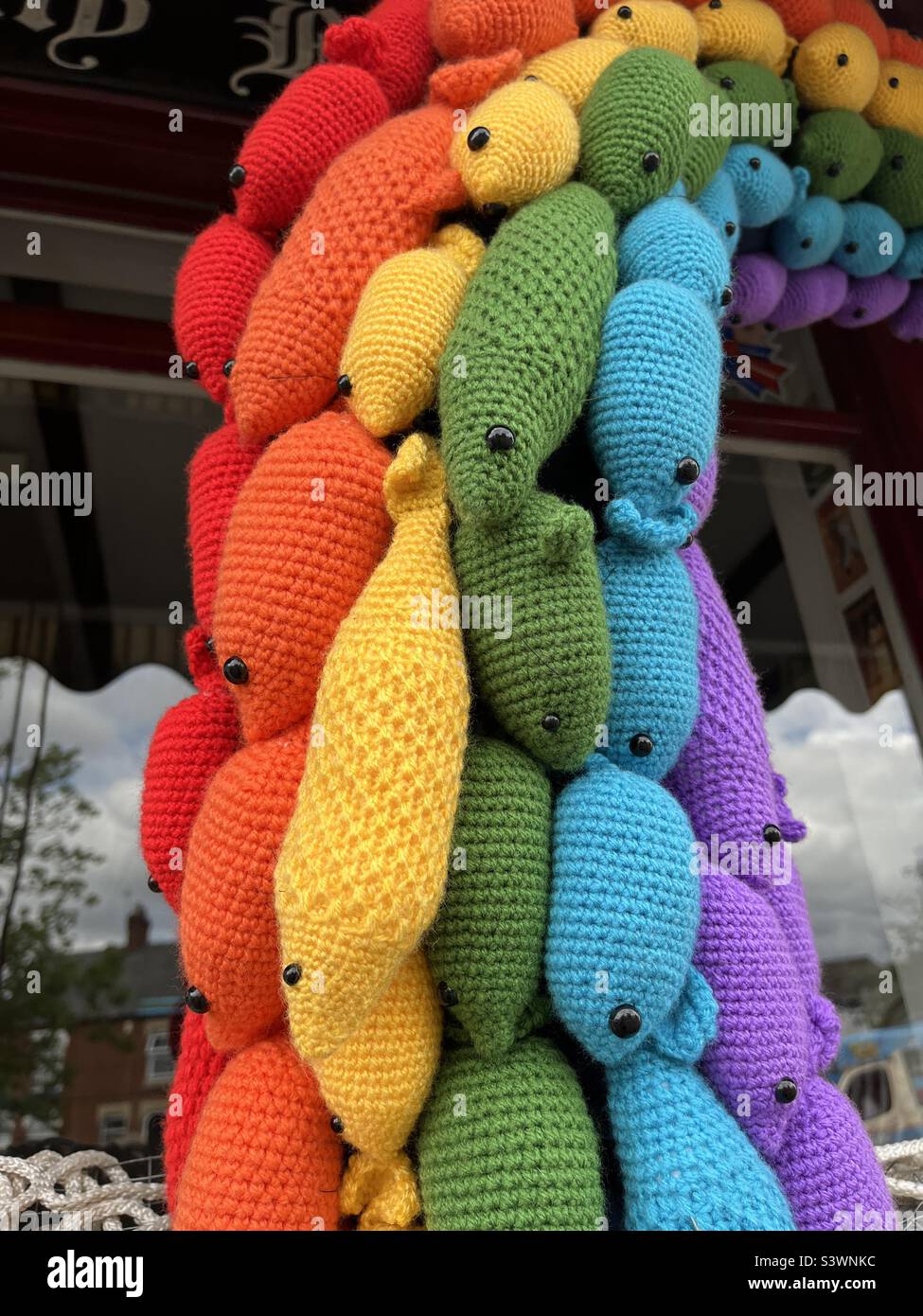 Rainbow fish cosy yarn bomb 2022 Stock Photo Alamy