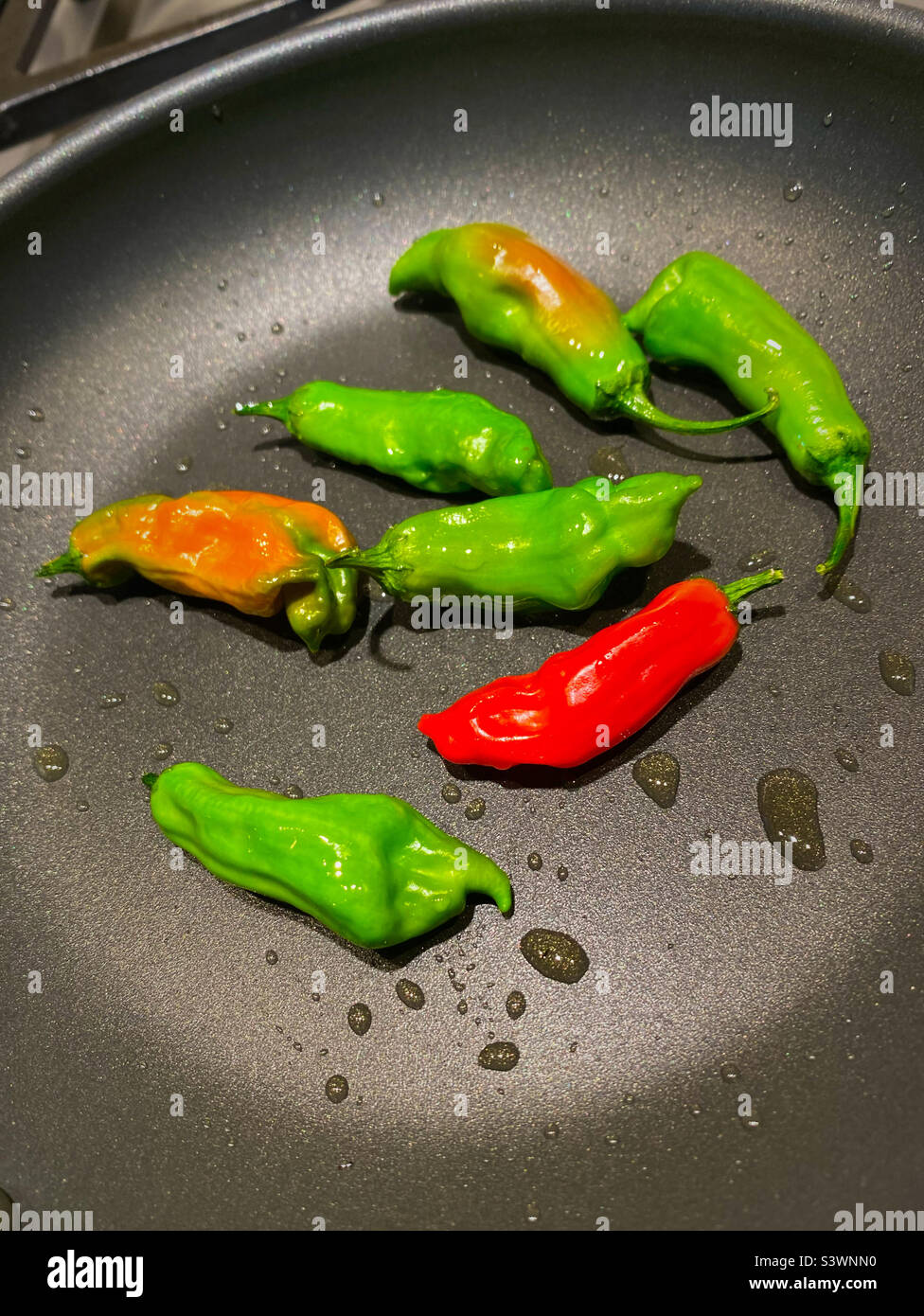 Peppers frying in olive oil Stock Photo Alamy