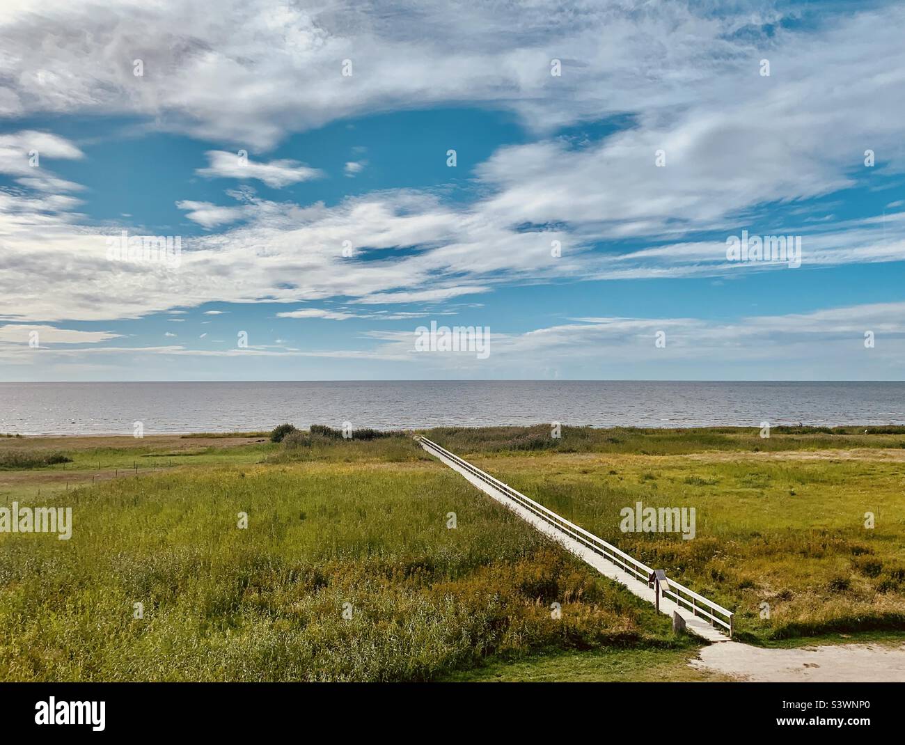 Seashore landscape with wooden pathway in grass meadow in summer - Smartphone Captured Stock Image