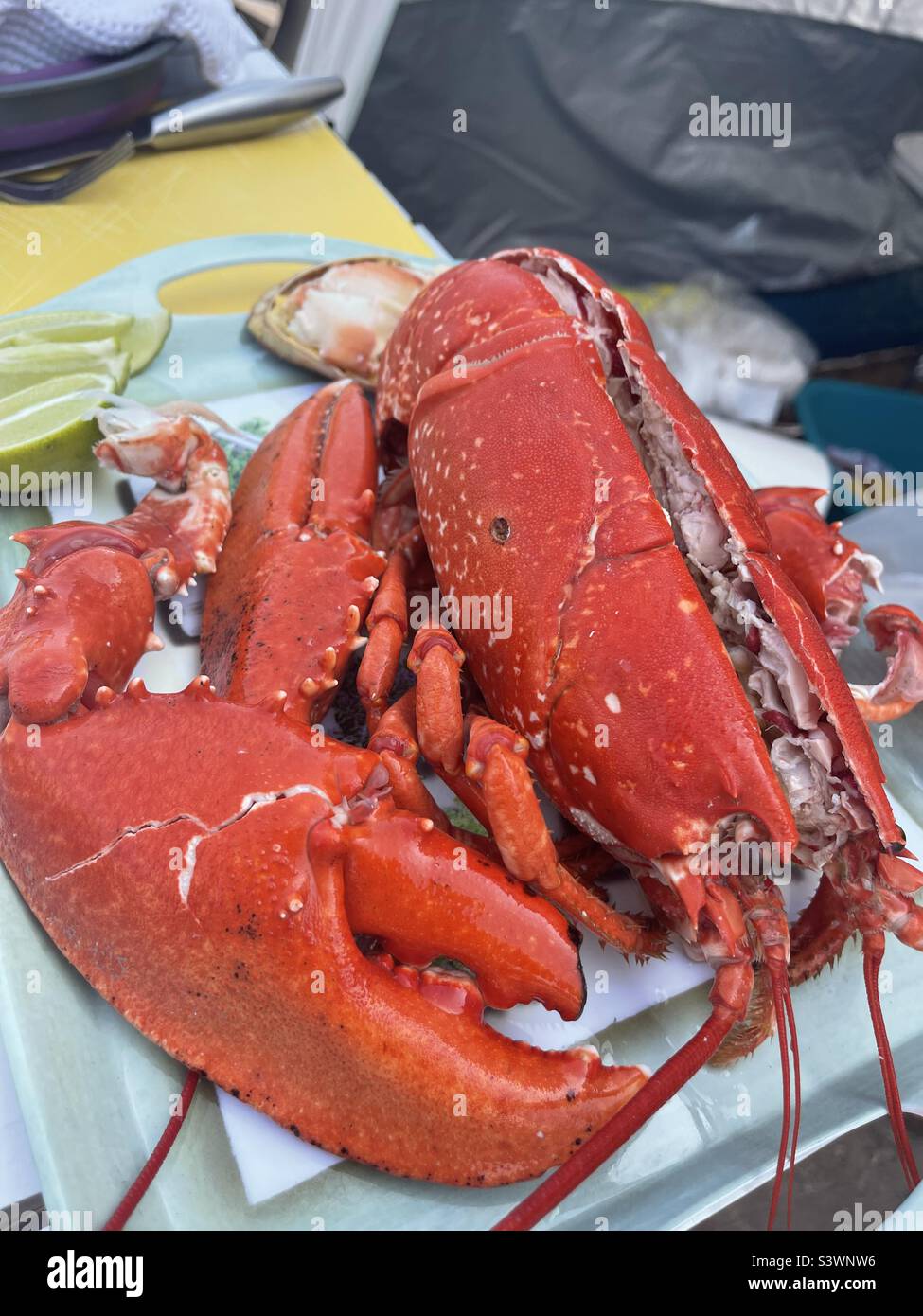 Cooked lobster split and cracked ready Stock Photo