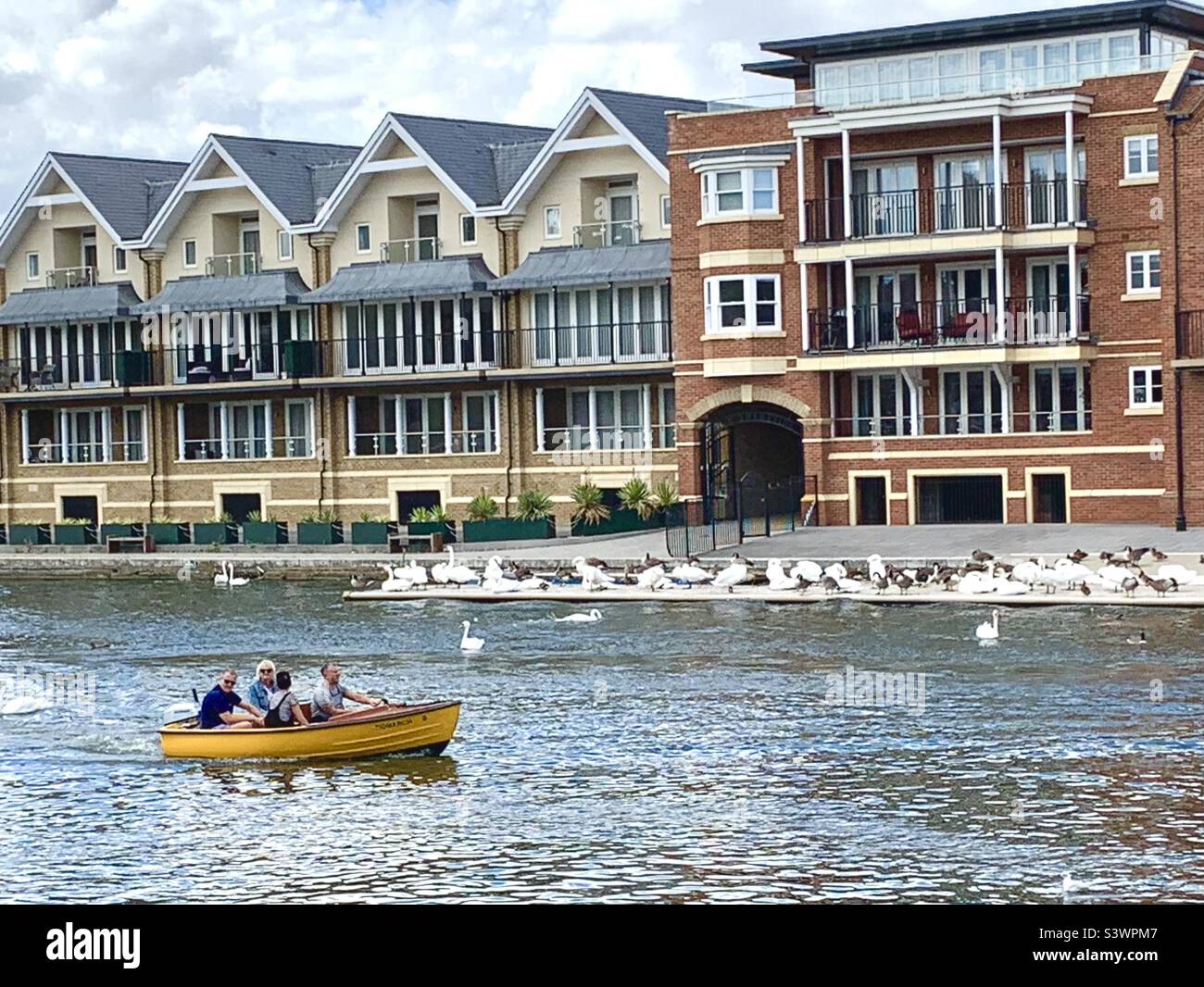 Windsor Riverside - a group enjoy a trip on a motorboat, whilst swans and river geese rest along the opposite bank. - Smartphone Captured Stock Image