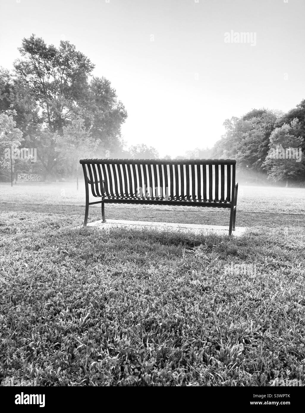 Early morning Vapor and dew in Central Park. - Smartphone Captured Stock Image