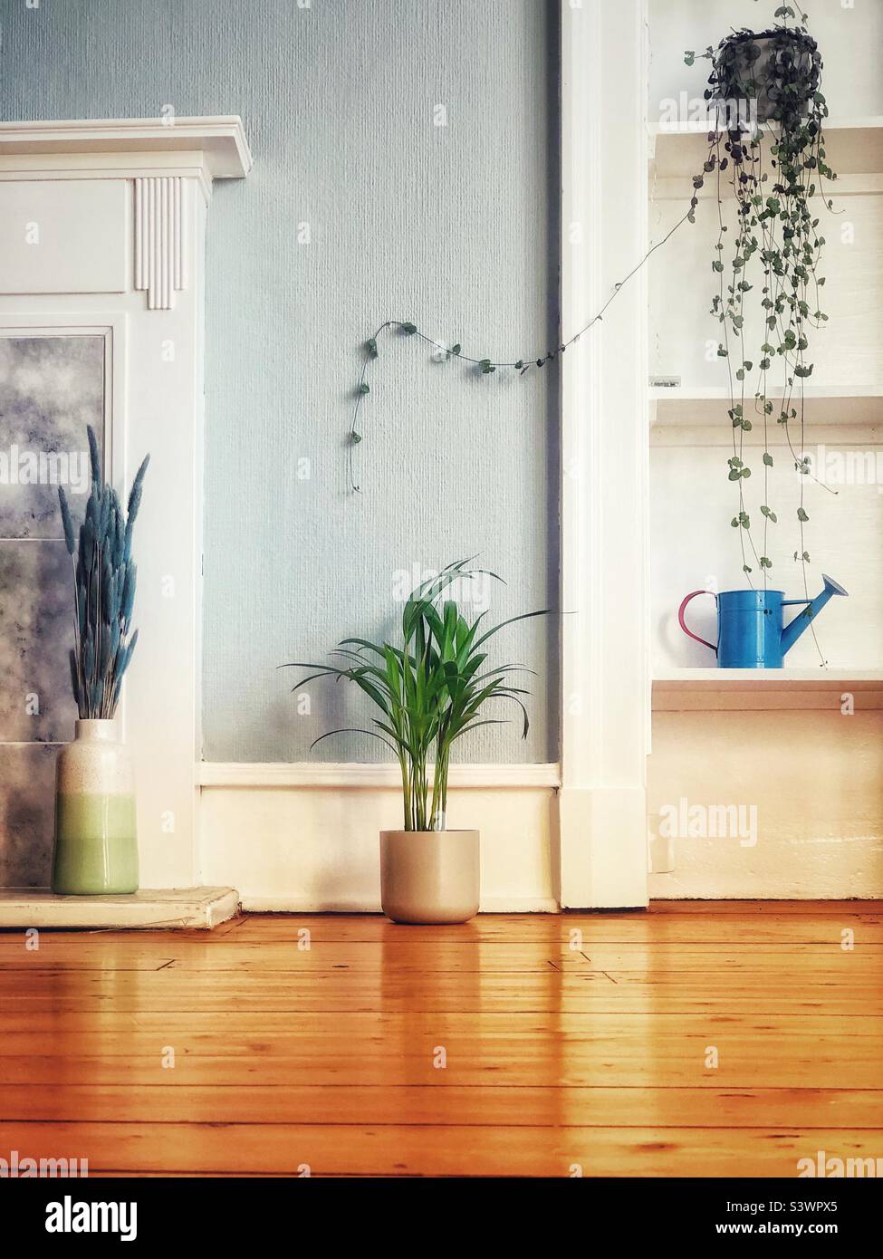 Small watering can and house plants - Smartphone Captured Stock Image