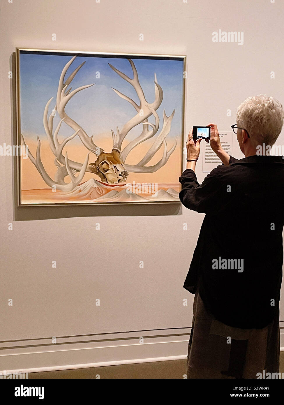 Metropolitan museum of art is home to a famous Georgia O’Keeffe painting, from the far away nearby and a senior woman is taking a photo of it, 2022, USA, New York City Stock Photo