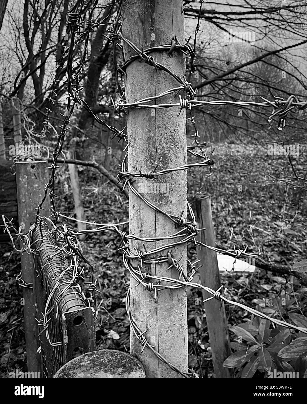 ‘KEEP OUT’ sharp barbed wire fencing surrounds the perimeter of farmland making it clear that no unauthorised access is welcome (Black & White) Stock Photo