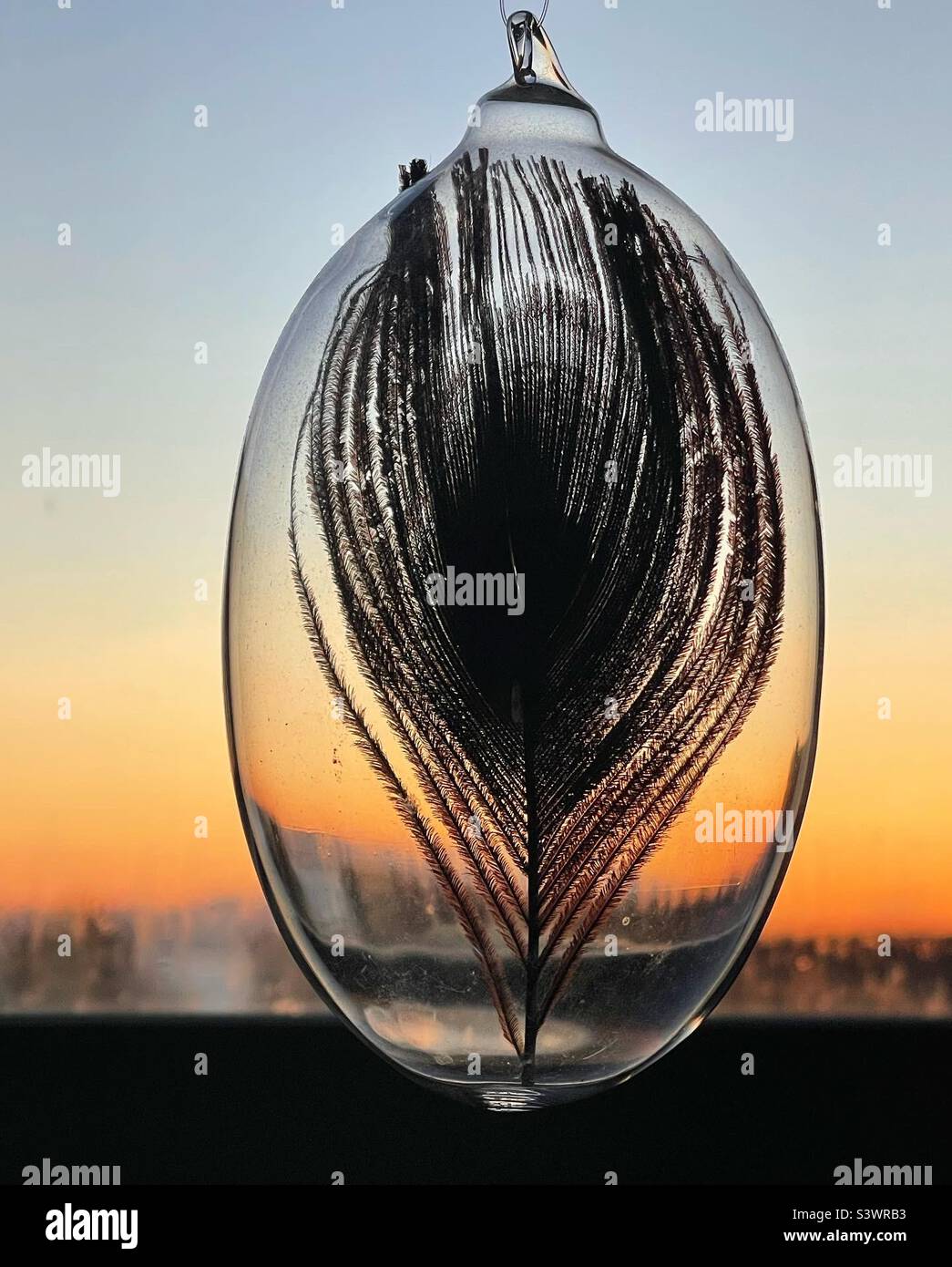 Peacock feather in a glass globe Stock Photo Alamy