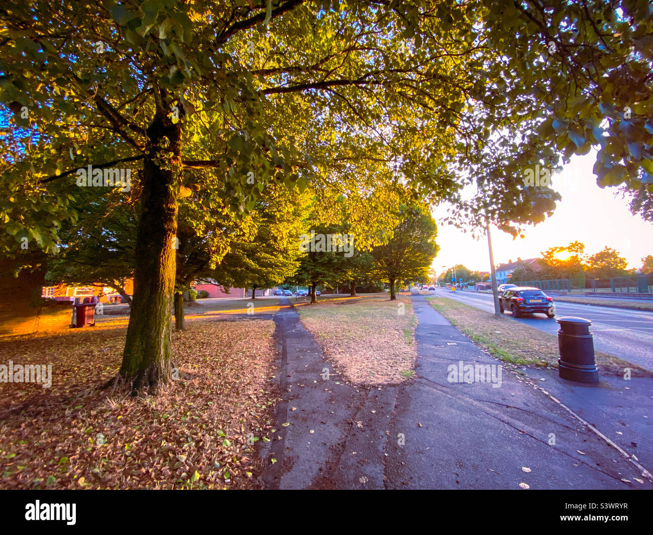 Trees catching golden glow as the sun starts to set in Tilehurst, Reading, UK - Smartphone Captured Stock Image
