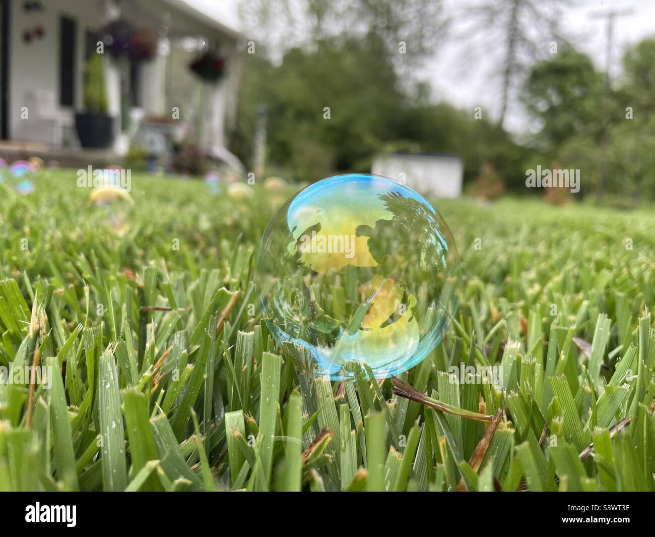 Bubble on grass Stock Photo Alamy