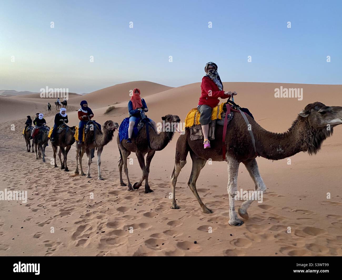 Camel riding tour in Moroccan desert, Morocco, North Africa - Smartphone Captured Stock Image