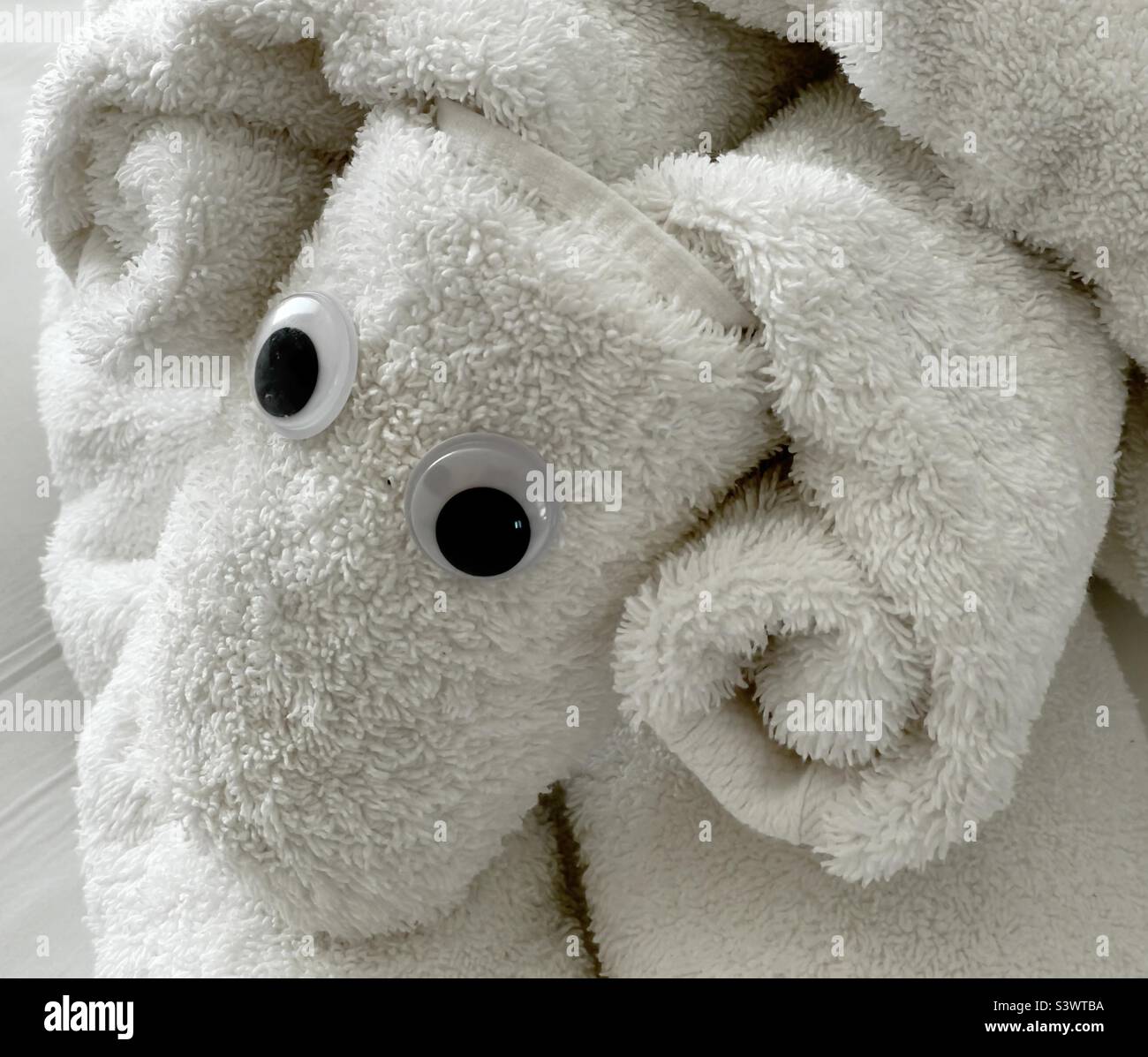 Example of towel art. A curly-horned sheep executed bye the cabin steward on a cruise liner. - Smartphone Captured Stock Image