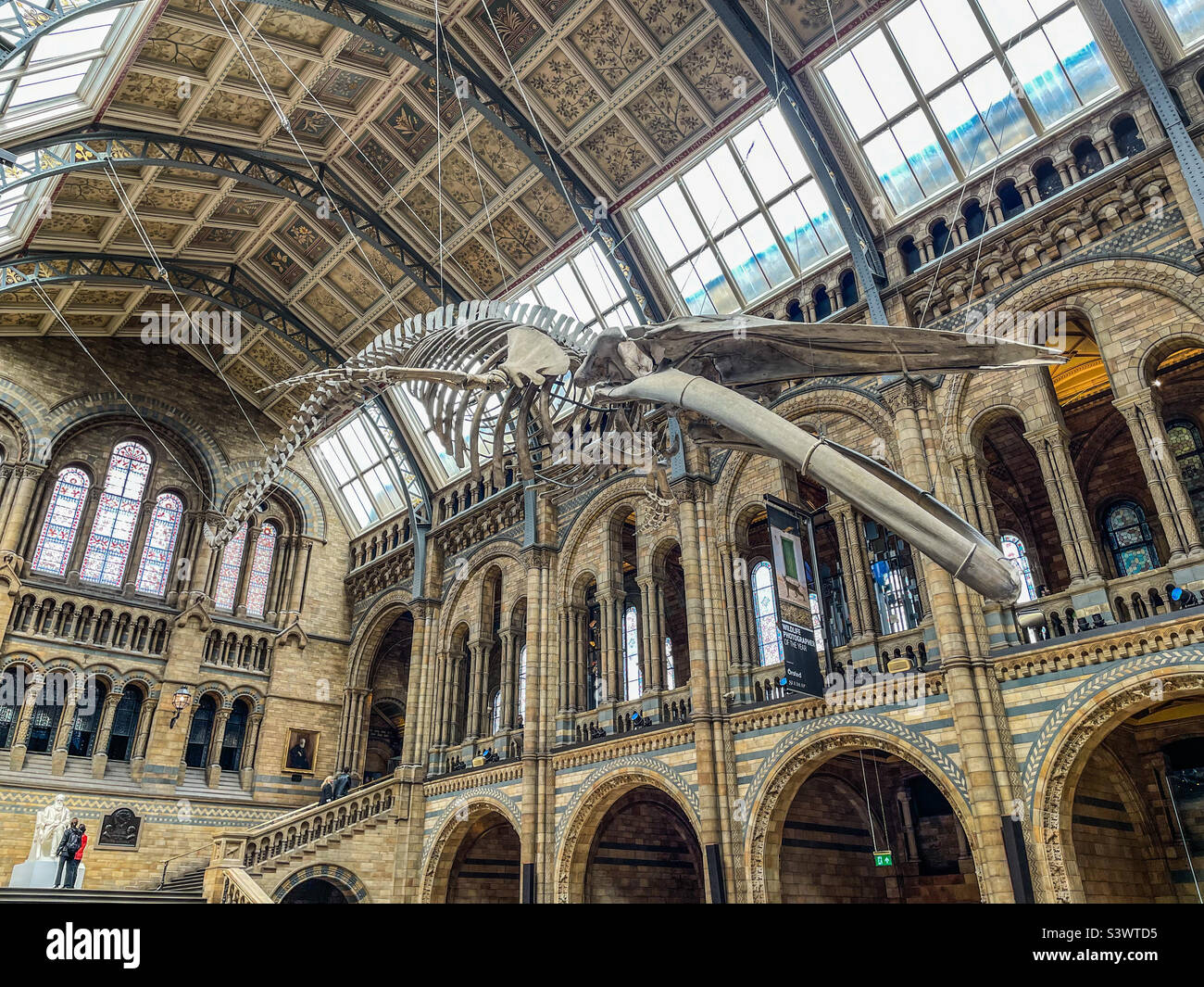 Natural History Museum, London Stock Photo