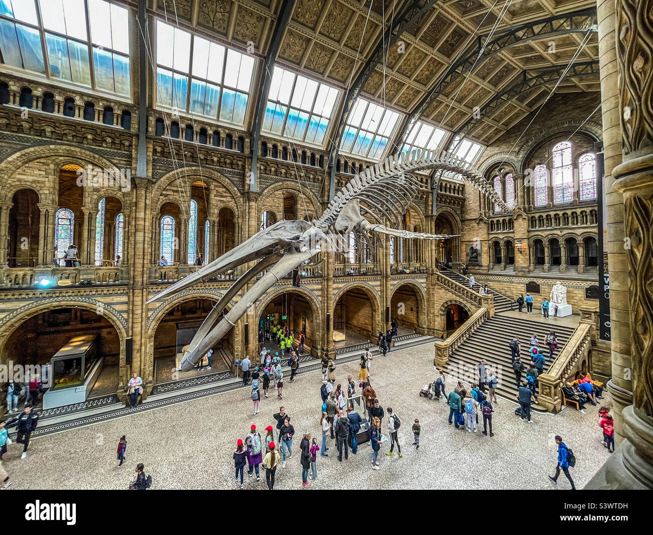 Natural History Museum, London Stock Photo