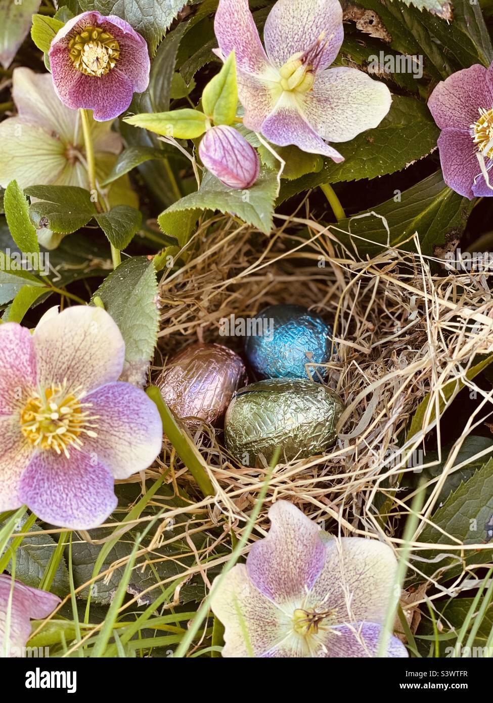 Chocolate eggs in a nest Stock Photo