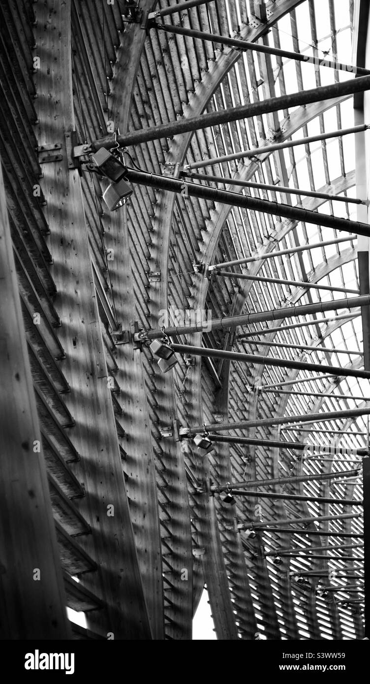 Wood and steel frame architecture. - Smartphone Captured Stock Image