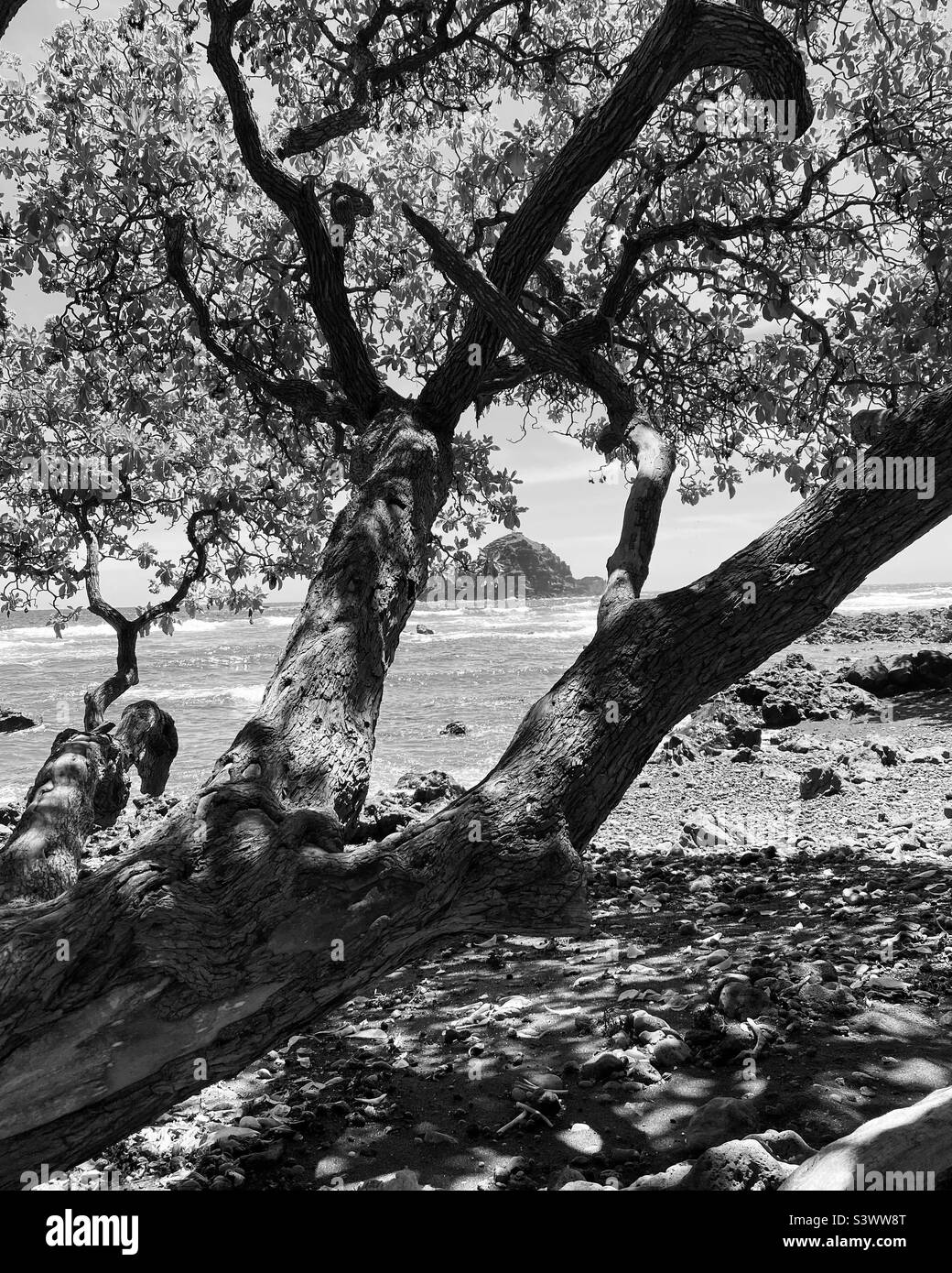 Maui paradise sunset Black and White Stock Photos & Images - Alamy