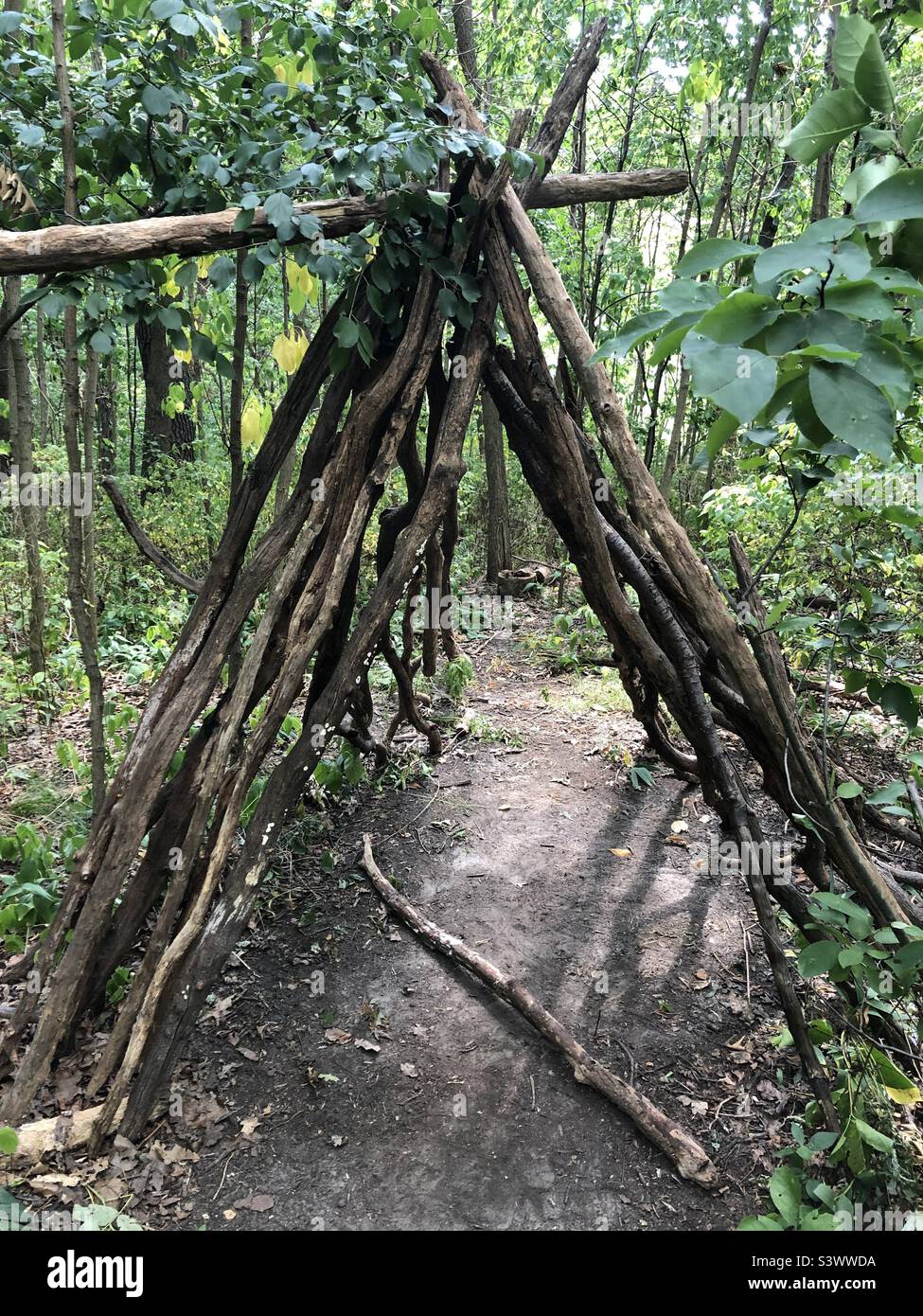 Teepee arch in the woods. Stock Photo