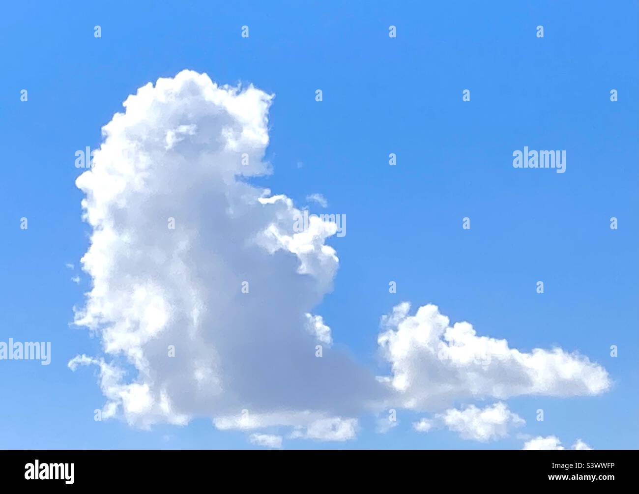 Building cumulus cloud on a hot summer day - Smartphone Captured Stock Image